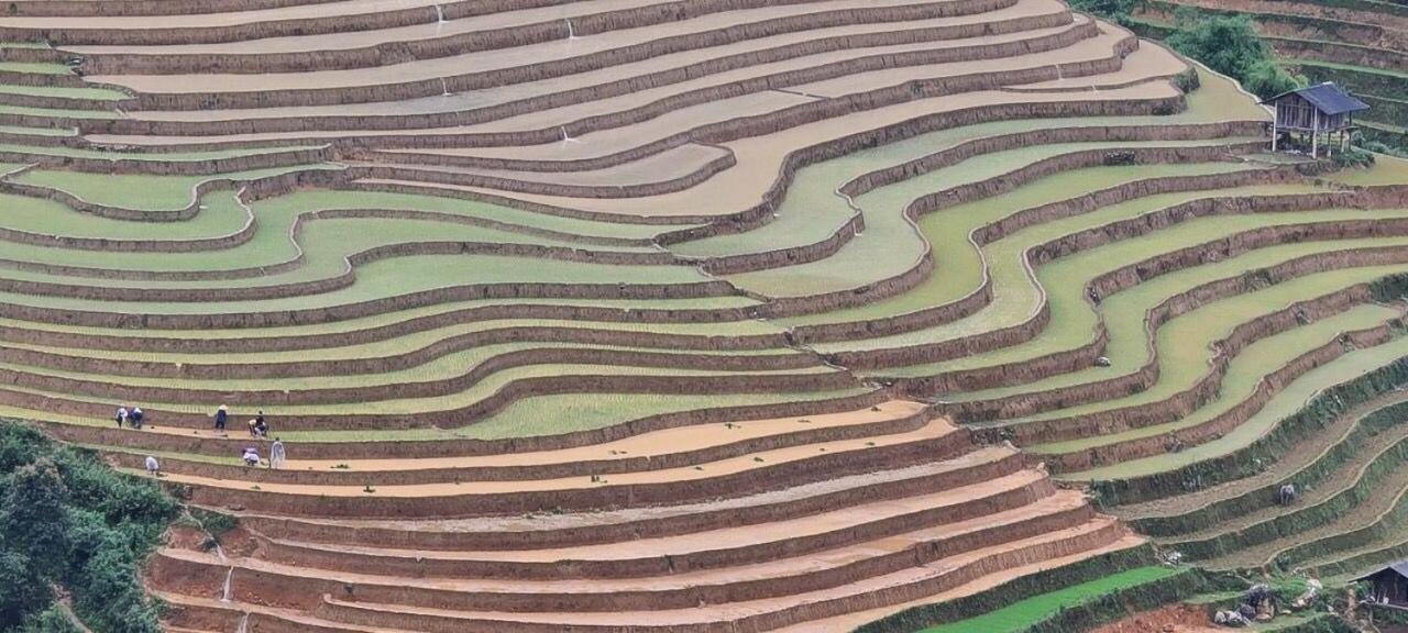 Dong Suoi H'mong & - Trek & Vegetarian Food * Mu Cang Chai