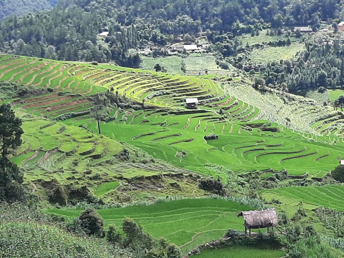 Dong Suoi H'mong & - Trek & Vegetarian Food Privatunterkunft Mu Cang Chai
